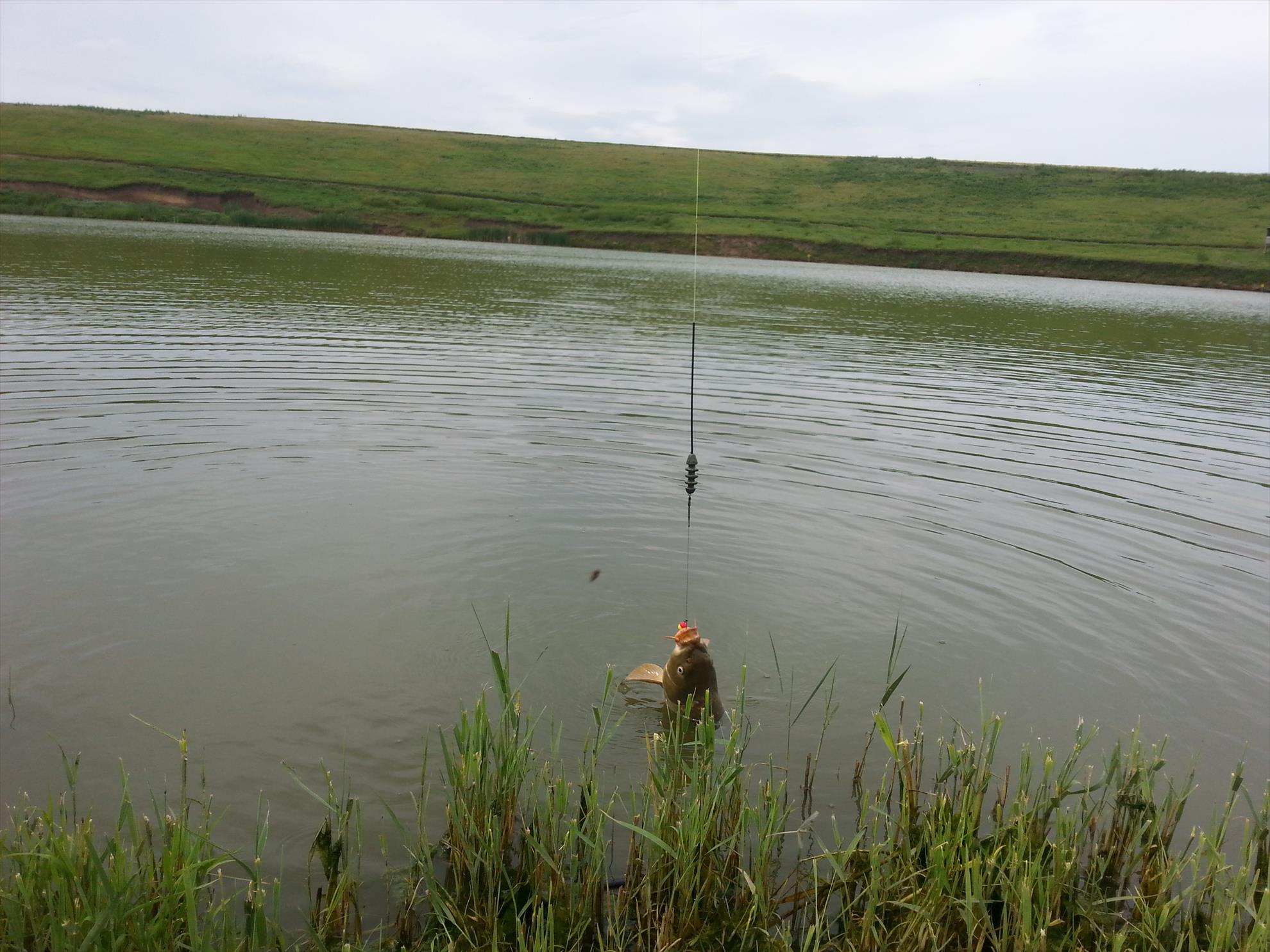 Sulimanu 3 - 4 iunie 2014 - 20140604104305.jpg